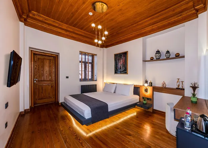 Apartment Lemira Pera & Luxery *